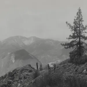 Northwest slope of Littlepine Mountain