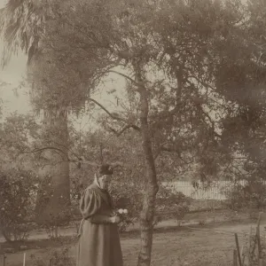 Woman in Garden with Large Lemon Verbena Santa Barbara