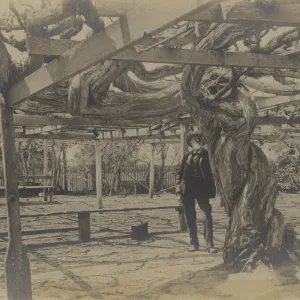 Man Standing under Grapevine in Carpinteria