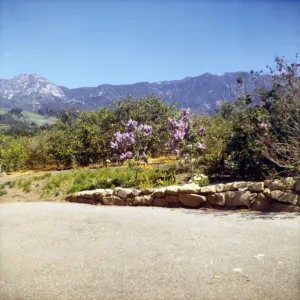 Historic photo of Hay Hill, Torocado Ranch