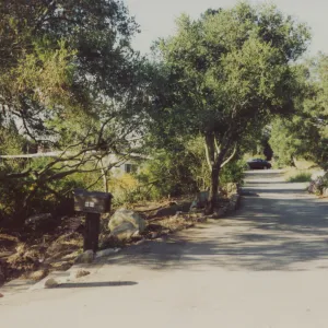 Director's residence driveway