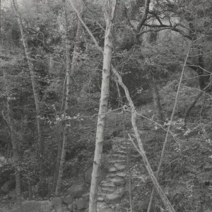 steps to Mission Creek, below Mission Dam