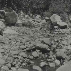 Mission Creek