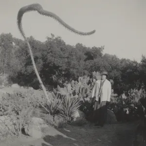 Miss Maria Ulmer?, Desert Section, before 1936
