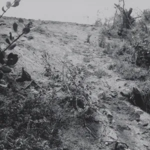 Mudslide below Tunnel Road, 1969
