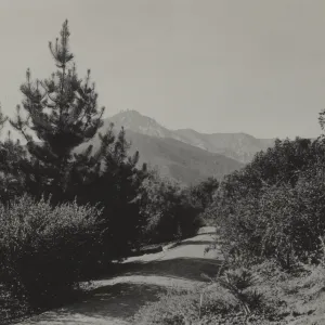 historic Island Section, 1934