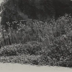 south side of entrance boulder, old Island Trail, 1934