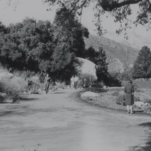 lower Meadow, 1940's