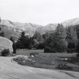 Meadow, 1958, Santa Ynez Mountain view
