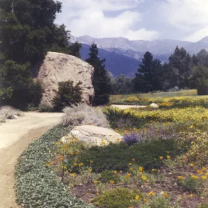 lower Meadow and mountain view from Garden entrance