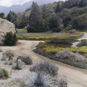 lower Meadow and Desert Section with mountain view