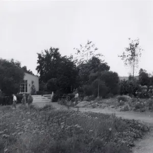 Sunday visitors in the Meadow, 1952