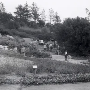 Sunday visitors in the Meadow, 1952
