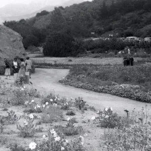 Sunday visitors in the Meadow, 1952