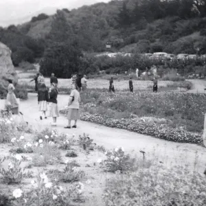 Sunday visitors in the Meadow, 1952