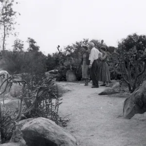 Sunday visitors in the Desert Section, 1952