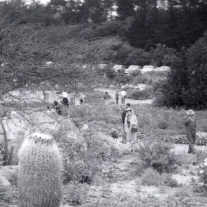 Sunday visitors in the Meadow, 1952