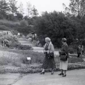 Sunday visitors in the Meadow, 1952