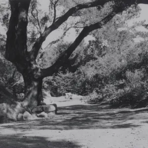 Arroyo path