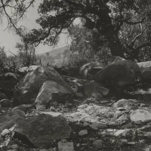 The Mound, 'Rocks where the pool is to be'