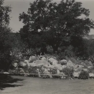 Meadow pool, 1938