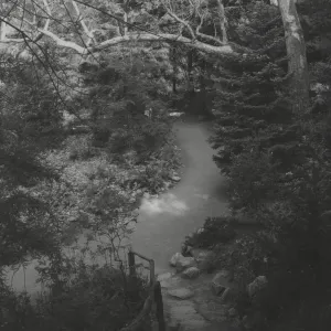Indian Steps trail to the Redwood Section