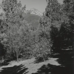 Porter Trail