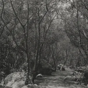 Canyon Trail