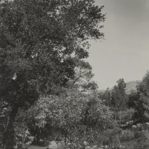 Garden trail