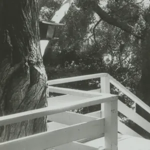 top of staircase on East Wing of Library Annex building