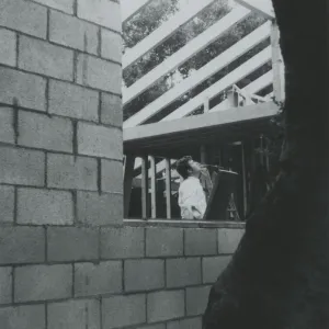 Herbarium construction