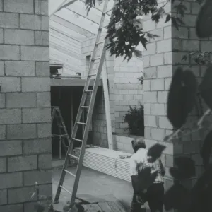 Herbarium construction