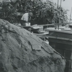 Herbarium construction