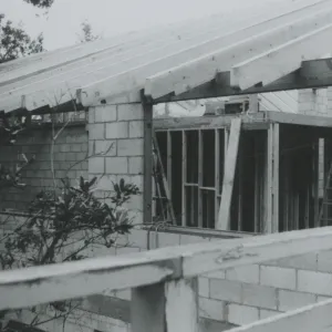 Herbarium construction
