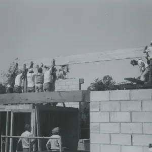Herbarium construction