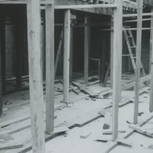 Herbarium construction