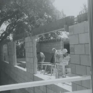 Herbarium construction