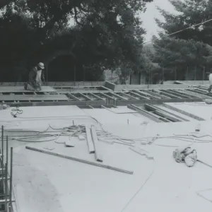 Herbarium construction