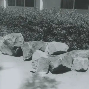 rocks, Herbarium construction