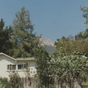 south side of Cottage