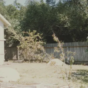 South side of Cottage and garden, prior to Home Demonstration garden