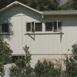 Cottage and garden