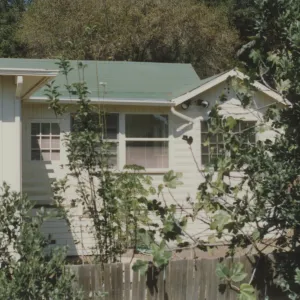 Cottage and garden