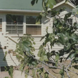 Cottage and garden