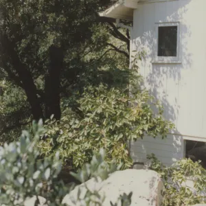 Cottage and garden