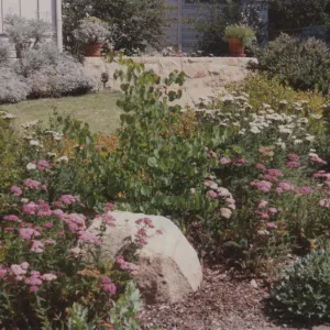 Home Demonstration Garden