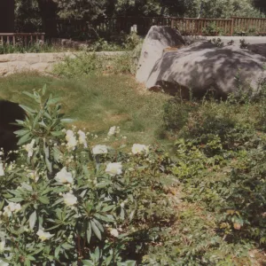 Home Demonstration Garden