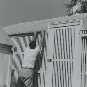 Lath House construction