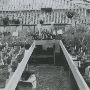 Lath House