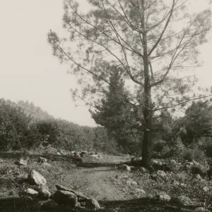 Parking lot construction, 1947